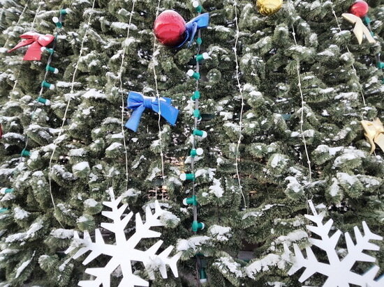   Анастасия Петрова