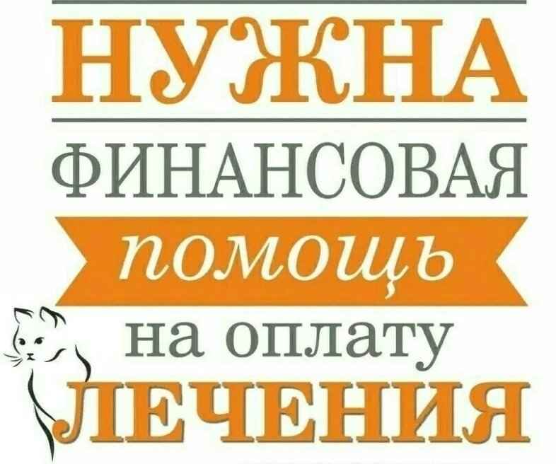 10,50, 100, 150 руб это очень большая помощь для нас !