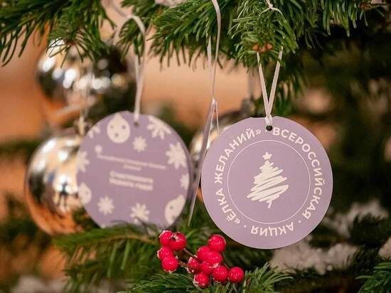 ФОТО: ДНР ОНЛАЙН 