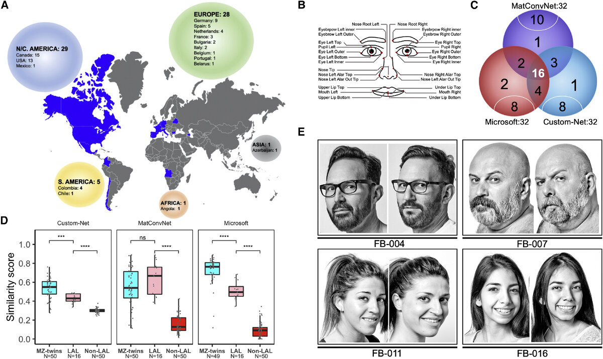 (A) Распределение по миру пар двойников из этого исследования. 
(B) 27 параметров лица, по которым Microsoft Oxford Project face API осуществляет распознавание лиц.
(C) Диаграмма Венна, показывающая количество пар двойников, обнаруженных и совместно идентифицированных в трёх программах распознавания лиц: MatConvNet, Custom-Net и Microsoft Oxford Project face API. Чёрные цифры представляют пары, которые не сгруппировались в каждой системе.
(D) Диаграммы, показывающие количественные оценки сходства по каждой из систем распознавания лиц для монозиготных близнецов (MZs; синий), пар двойников (LAL; розовый) и случайных «непохожих» пар (красный).