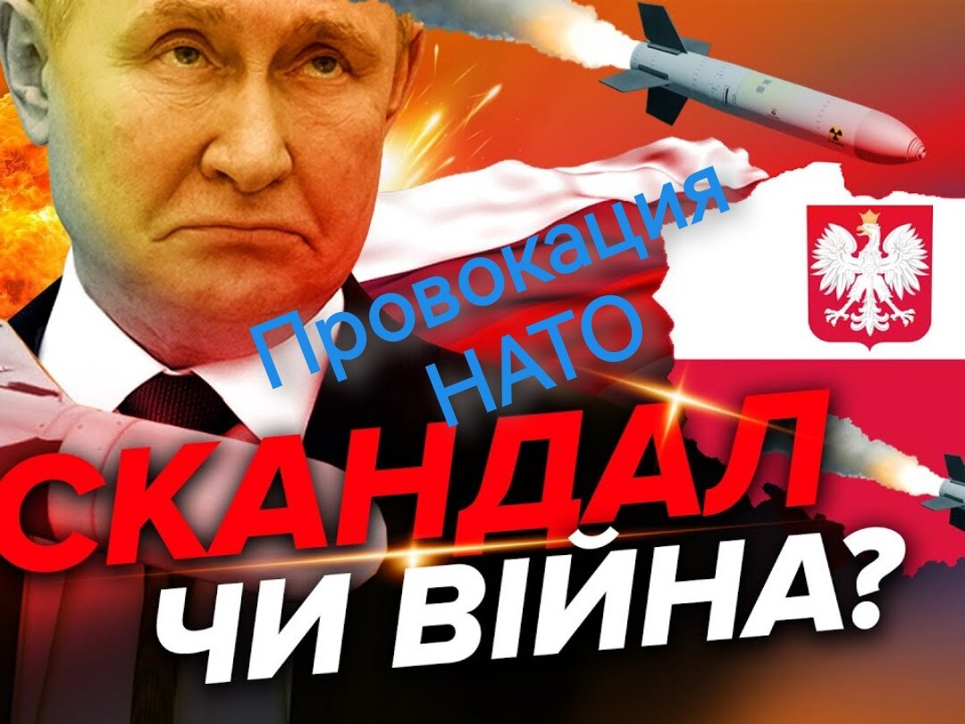 Подписывайтесь на наш канал "Нарполит" и не упустите свежие политические тренды! 