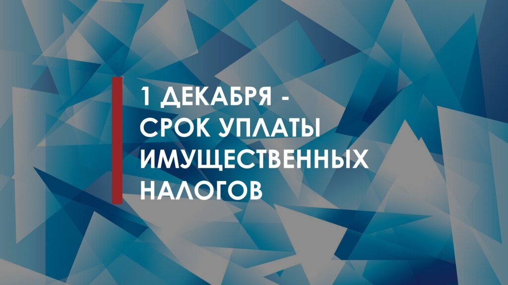 В Твери напомнили насколько важно оплатить налоги до 1 декабря
