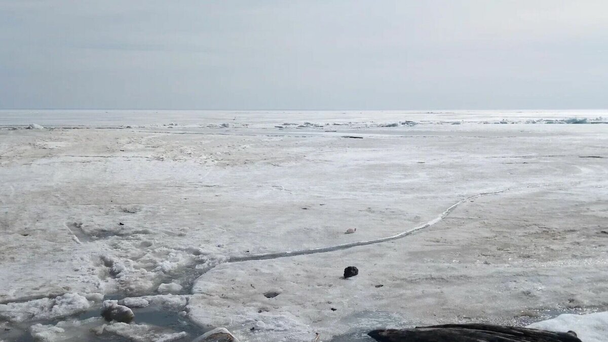     В Татарстане декабрь начнется с небольшого снега. Осадки ожидаются в первых числах предстоящего месяца, но в ночное время. Об этом сообщили в гидрометцентре РТ.