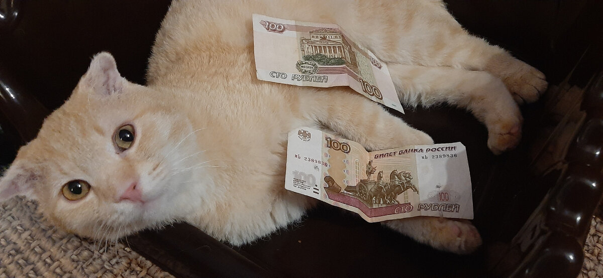 Чингисхан с итогами