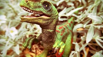 Newsweek: в пустыне Гоби нашли останки динозавра, похожего на гуся, но с зубами