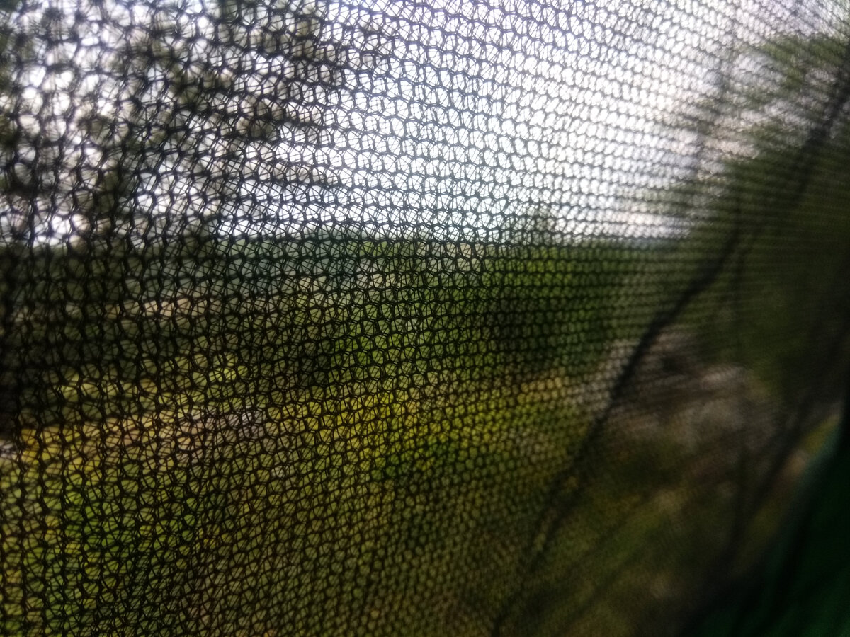 Фото: Светлана Кузнецова