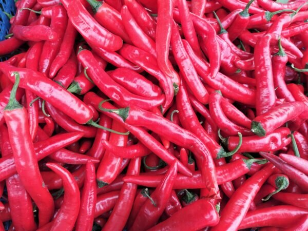    Фото: Екатерина Иванова. UG.RU