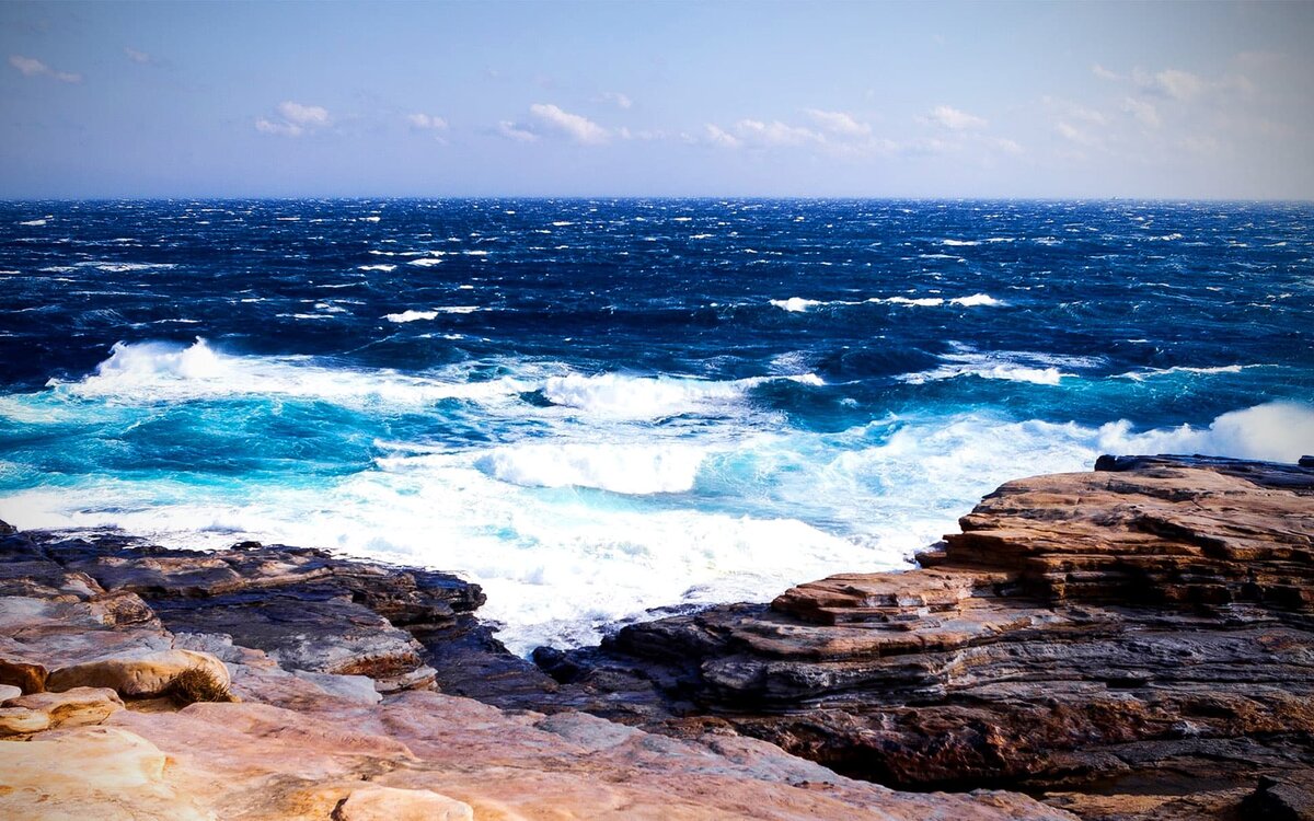 Яндекс картинки