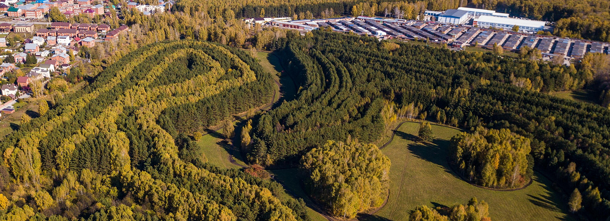 Фото: nsknews.info