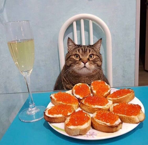 Фото из открытого источника.