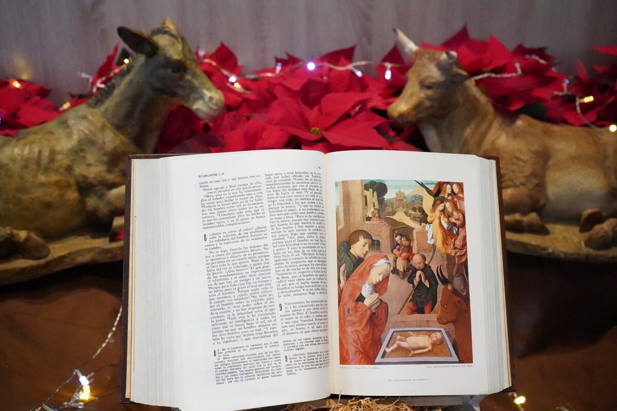       Источник: Unsplash (@lennyssp)