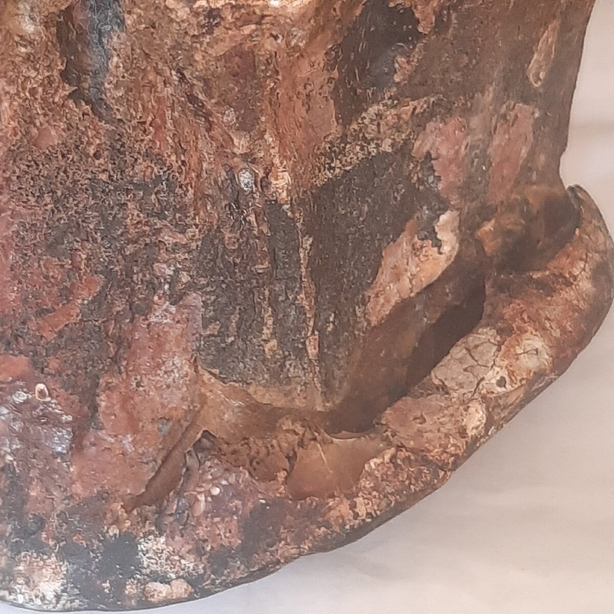 Загиб дна крупным планом. Кажется, что у дна такой же материал, что и в остальной части сосуда. Но автор находки настаивает на металле