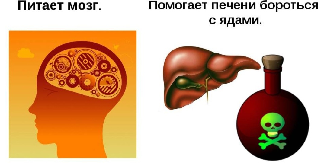 Польза сахара для организма человека.