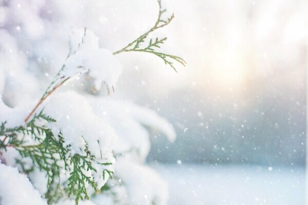    Фото: pixabay.com