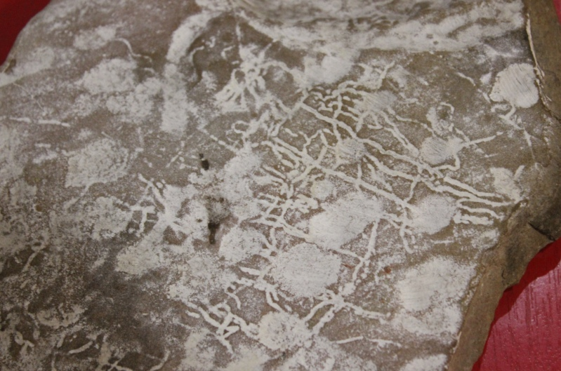 Улан-удэнец Дмитрий Багадаев расшифровал надписи на камне, который переходил из поколения в поколение в его семье. Древний камень является реликвией рода. На нем сделаны загадочные надписи в виде рун.