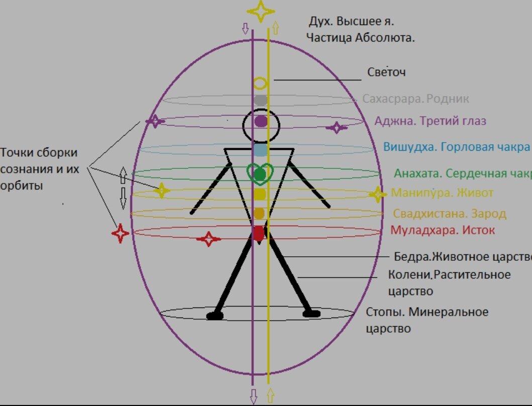 Чакры человека. Энергетические центры тел и оболочек (часть 2) | Школа  мудрости Сергея Шаби | Дзен