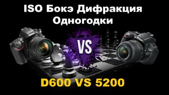 Nikon D600 VS D5200 Сравнение Полного кадра и кропа одного года ISO Бокэ Дифракция