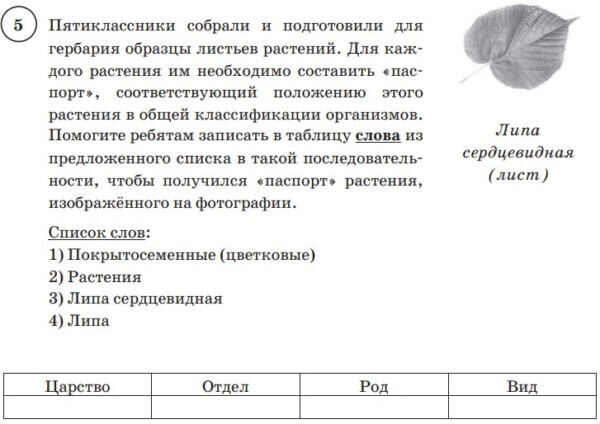    Рис. 1. ВПР. 25 вариантов. Вариант 11. Задание 5