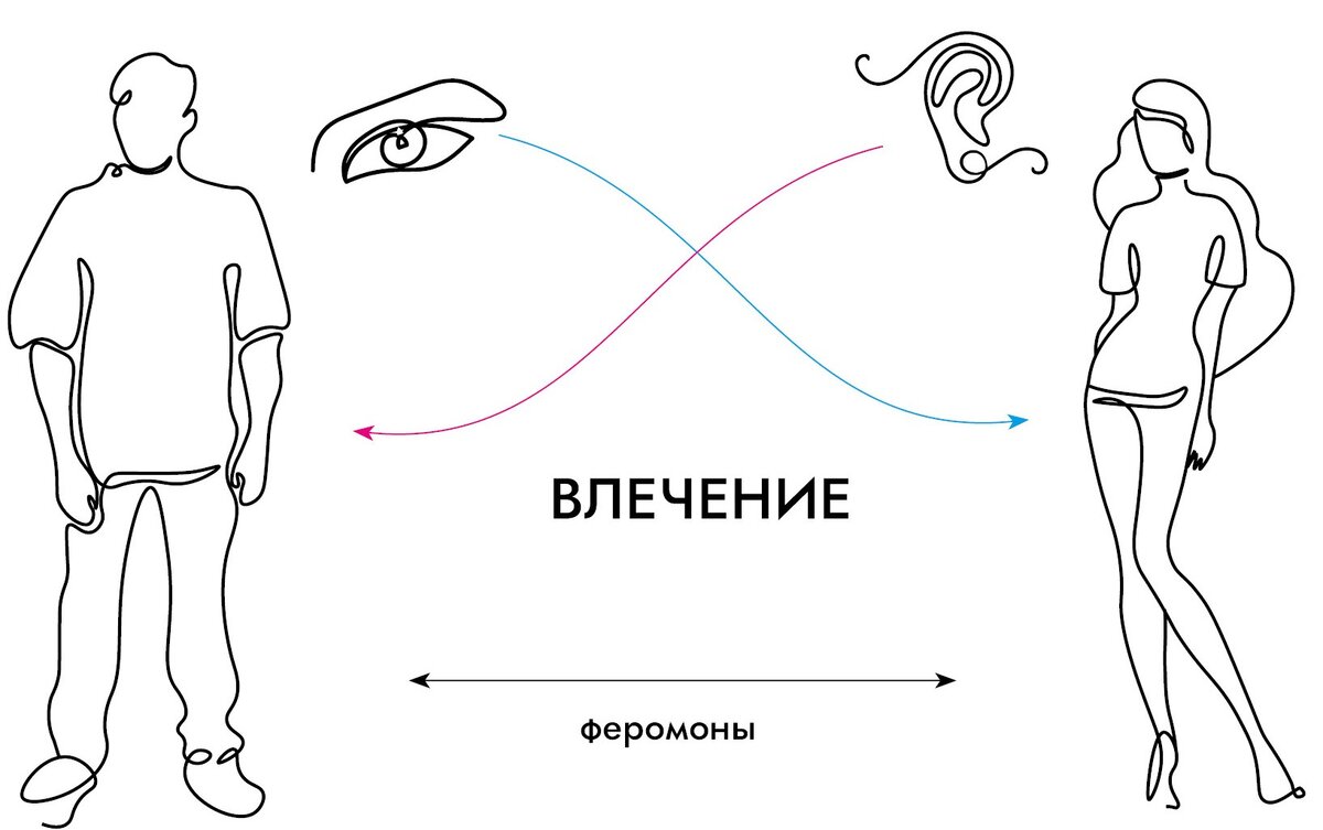 Генерация гормонов любви 1) Радиация возбуждения. 2) Распространение феромонов.
