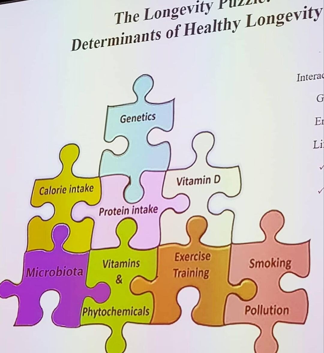 Фото слайда сделано на докладе одного известного итальянского профессора. Доклад был на тему: «О роли витаминов и о роли микробиоты в процессе долголетия».