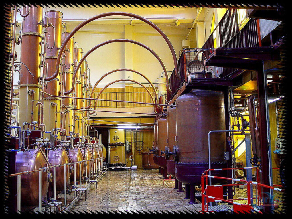 Завод Куантро во Франции