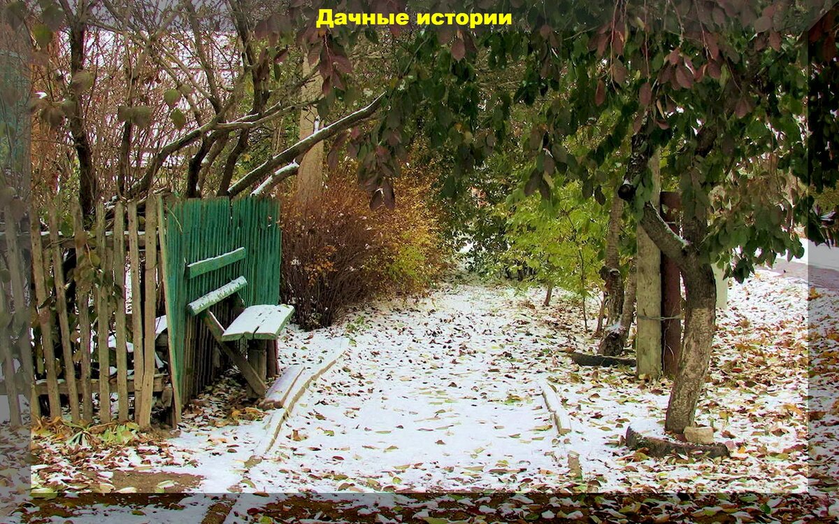 https://vk.com/photo-159774511_457256100