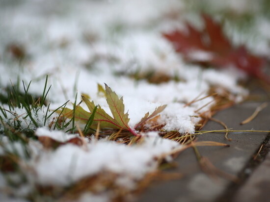 © ФОТО: ИД «ВОЛГОГРАДСКАЯ ПРАВДА» / КИРИЛЛ БРАГА / АРХИВ.