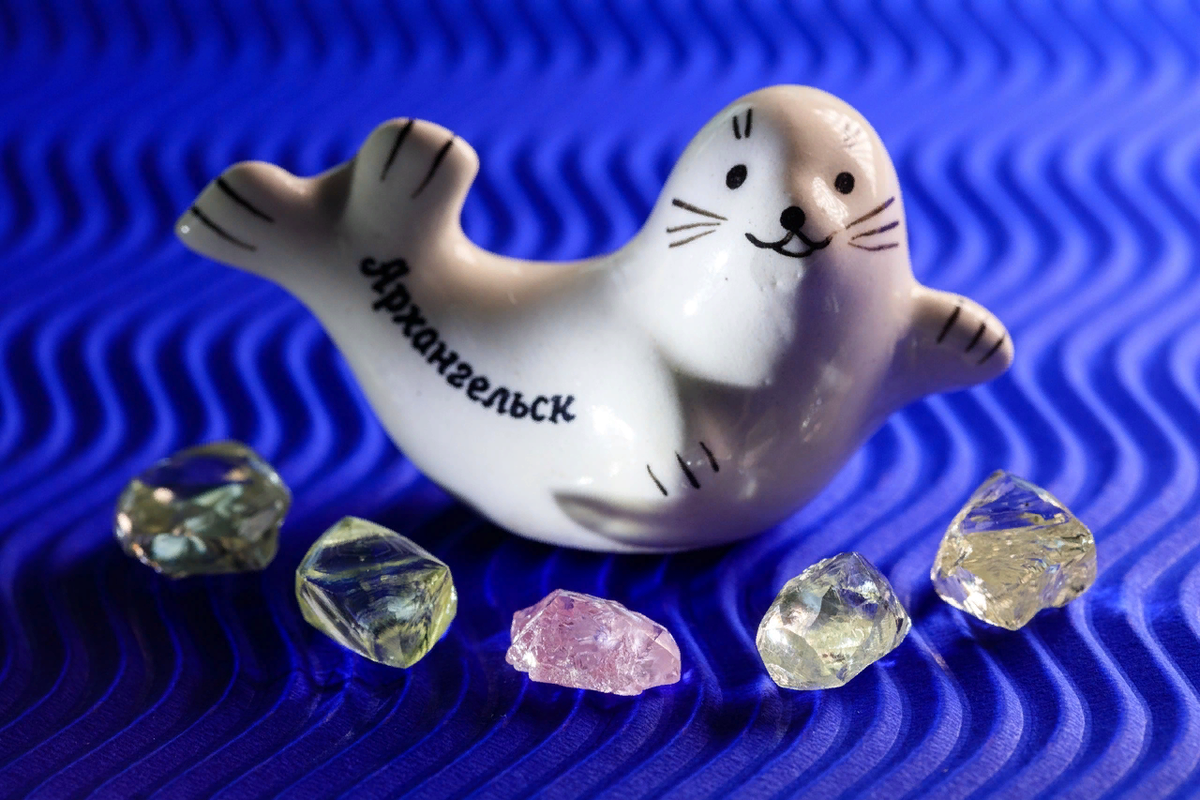  ALROSA -    ,         .-13