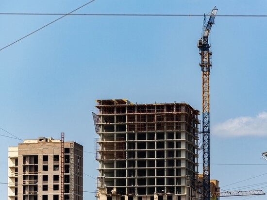     Фото: Густаво Зырянов / МК в Новосибирске