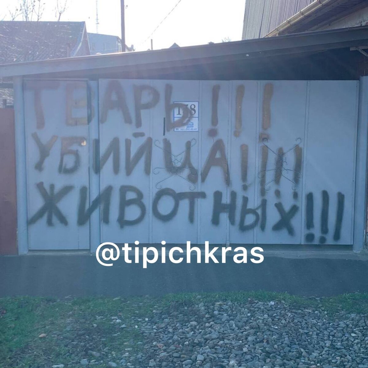 Тварь! Убийца! Животных!» В Краснодаре объявили войну живодерам – дальше  суд Линча? | Утренний Юг | Дзен