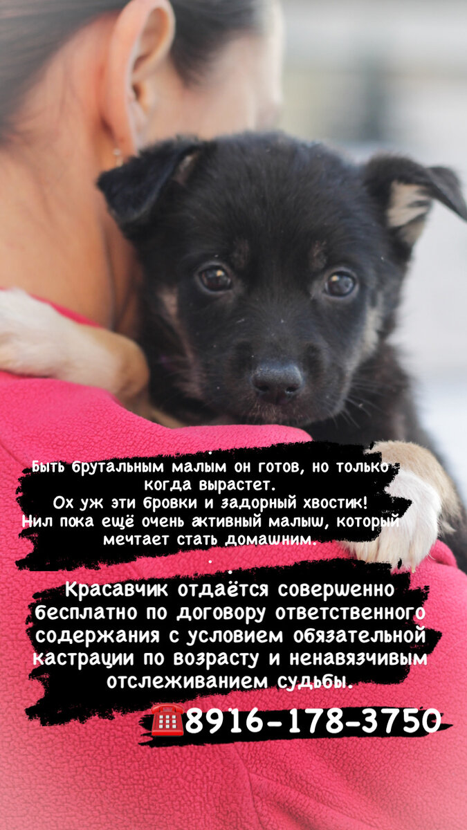 Фото-собственность канала