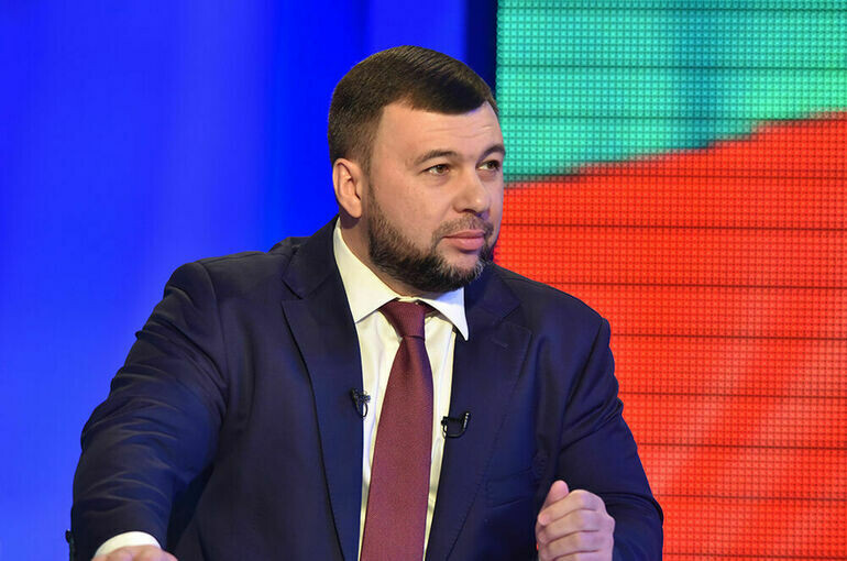   denis-pushilin.ru