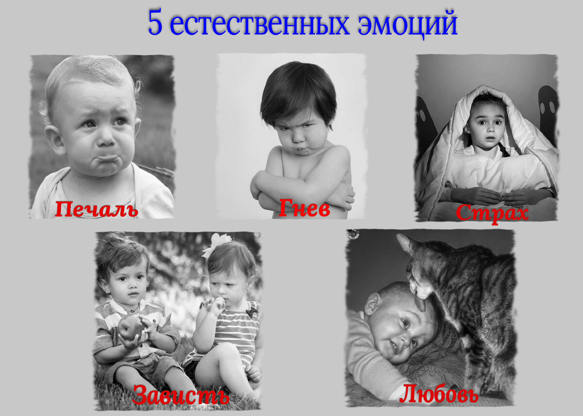 Рассказы об эмоциях сборник. Демотиваторы эмоции. мифы об эмоциях дбт.