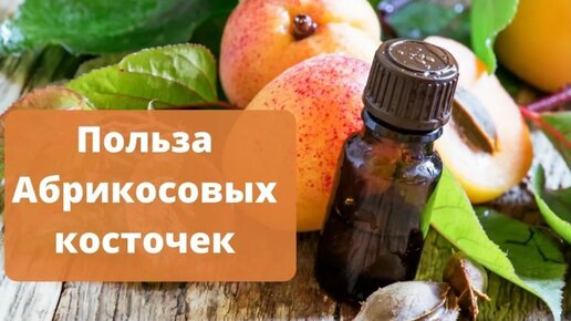 Немного о пользе абрикосовых косточек