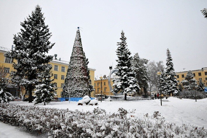 Яндекс. Картинки