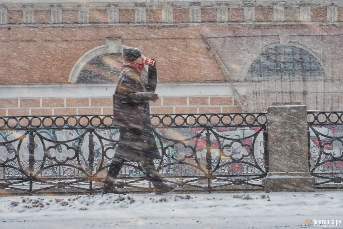 метель в санкт петербурге