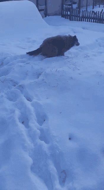 -3