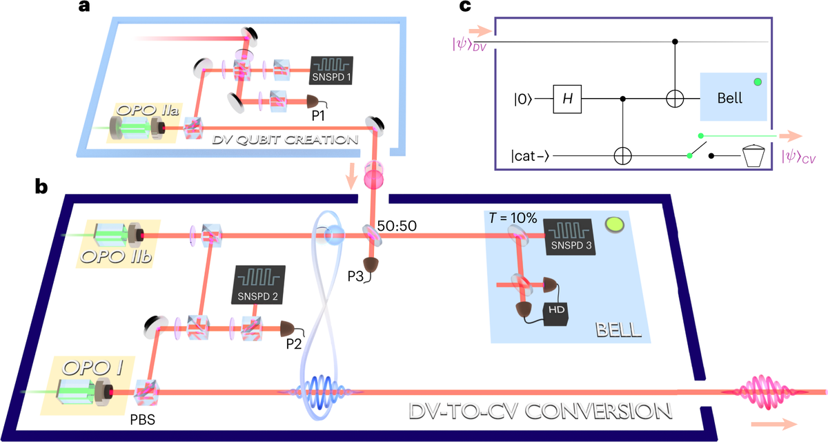   Tom Darras et al. / Nature Photonics, 2022