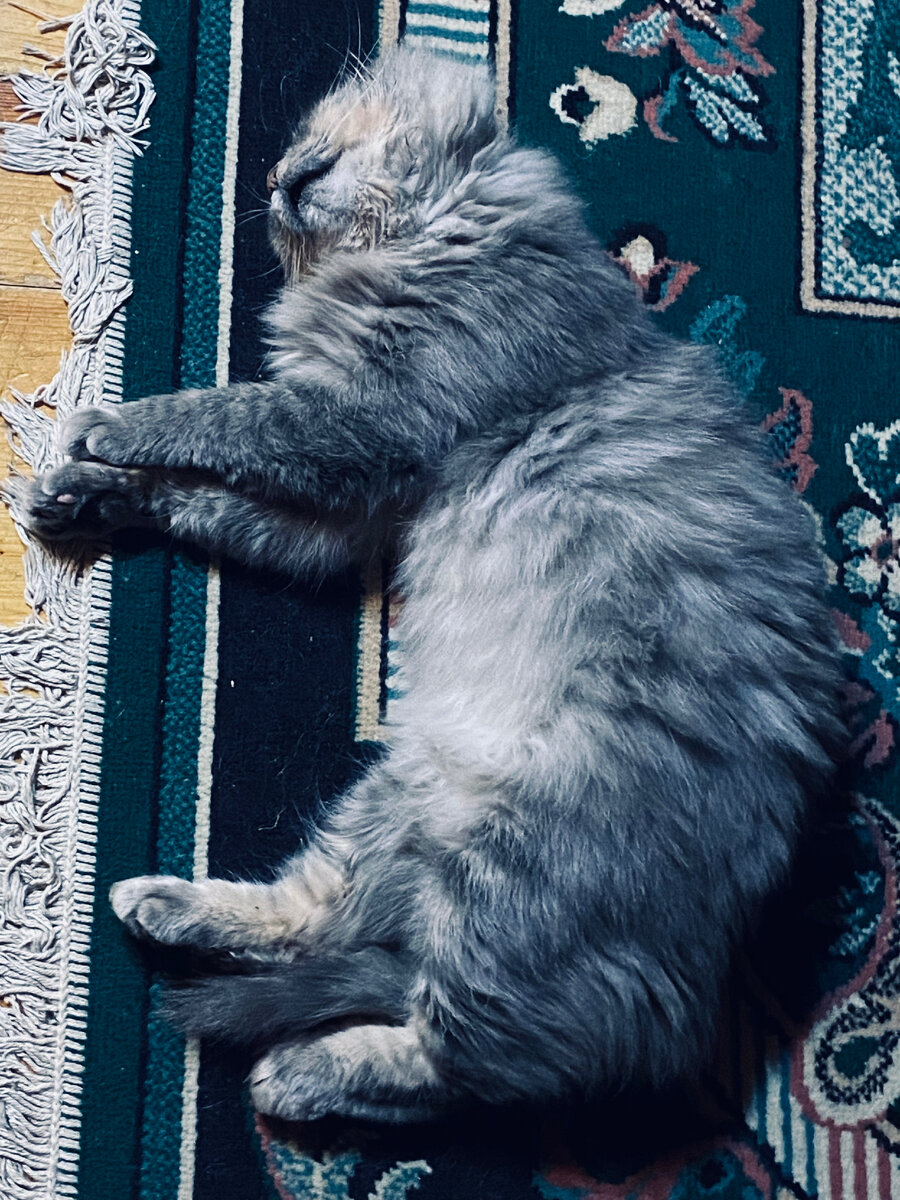 Шел, упал, уснул.