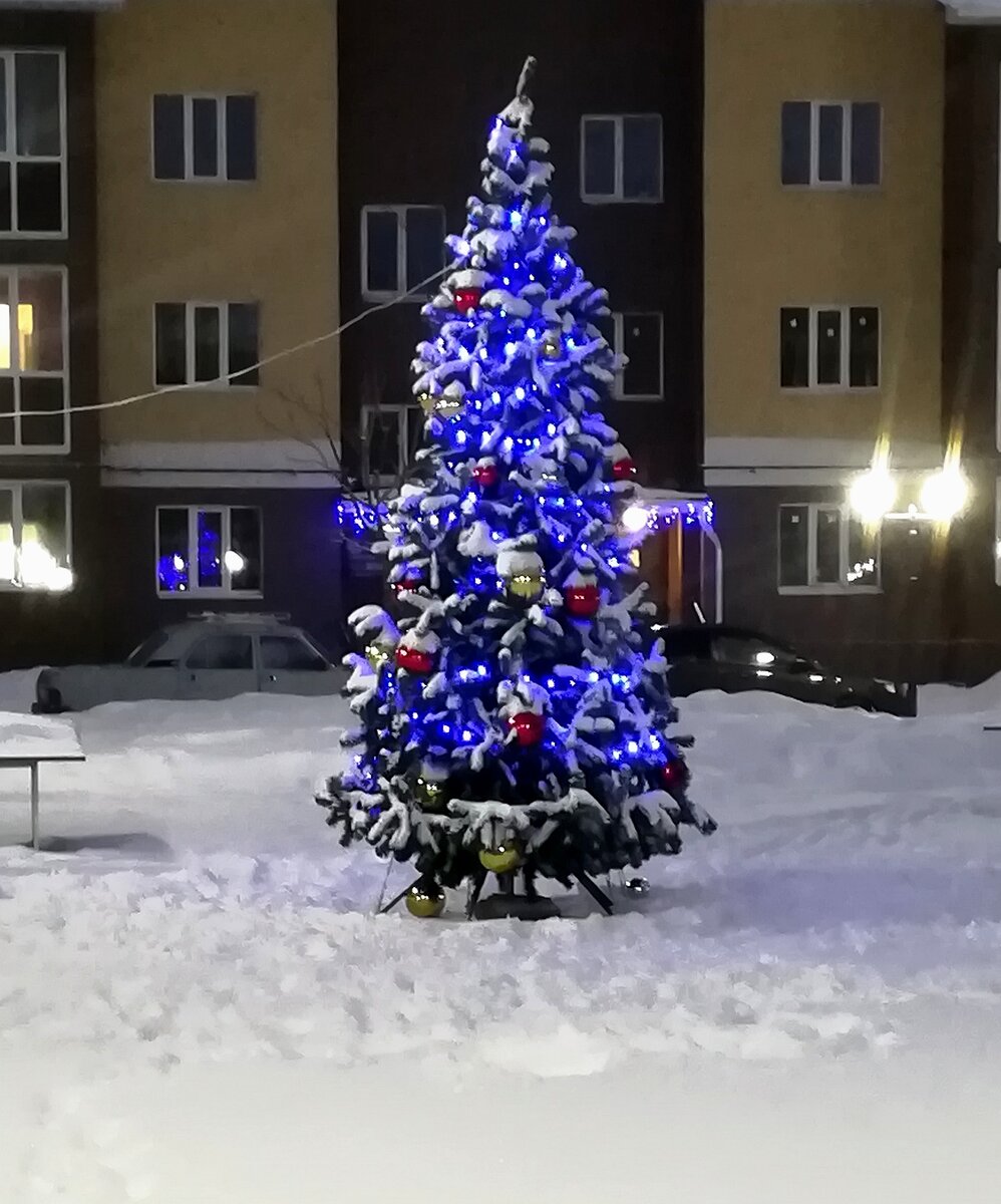 Ёлочка у нас во дворе