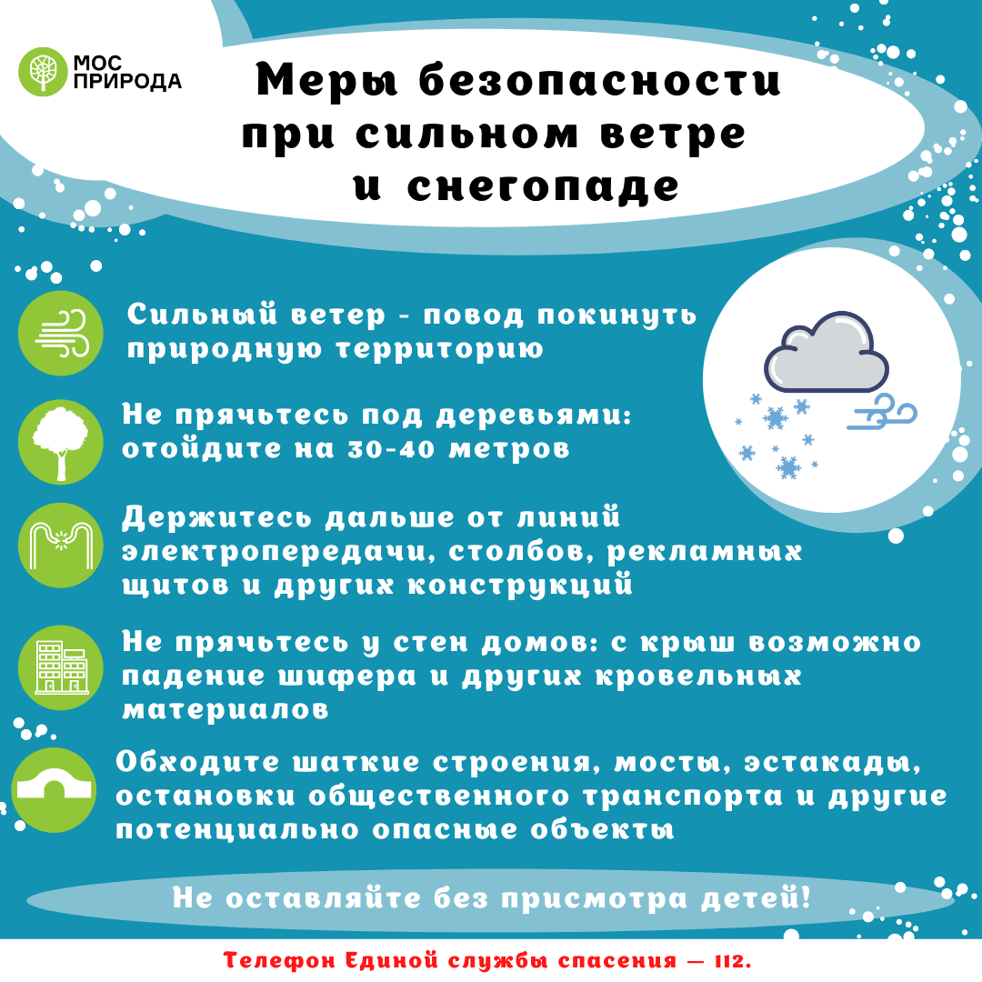 ✓ ПАМЯТКА: меры безопасности на природных территориях Москвы | Природа  Москвы | Дзен