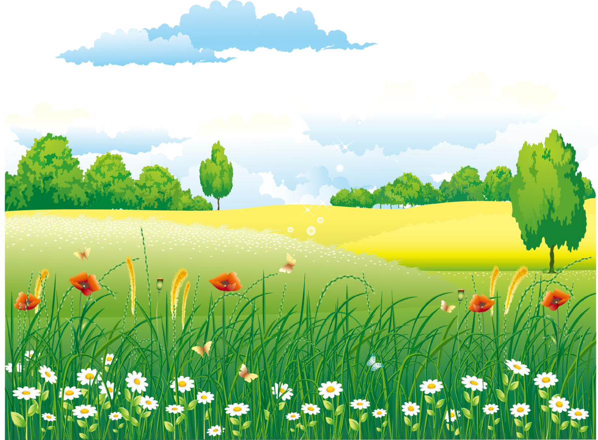 Изображение взято из свободного источника