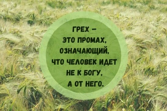 "Но Иисус сказал ему: иди за Мною, и предоставь мертвым погребать своих мертвецов." Мат.