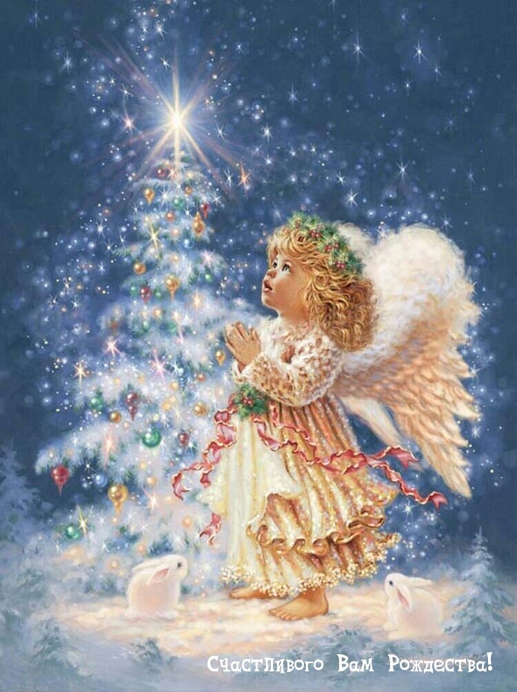 Фото из свободных источников интернета. 