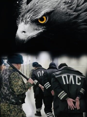 Древо жизни 