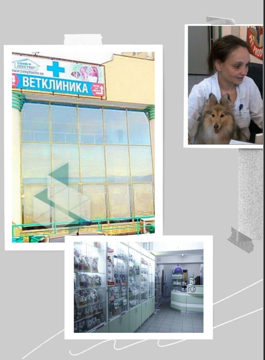 Работа в ветклинике , много опыта и знаний. 