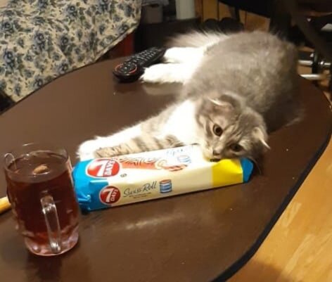 Лежу себе спокойно...