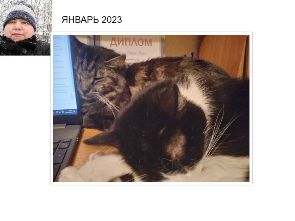 Коллаж Ирины Одарчук Паули Мы дома