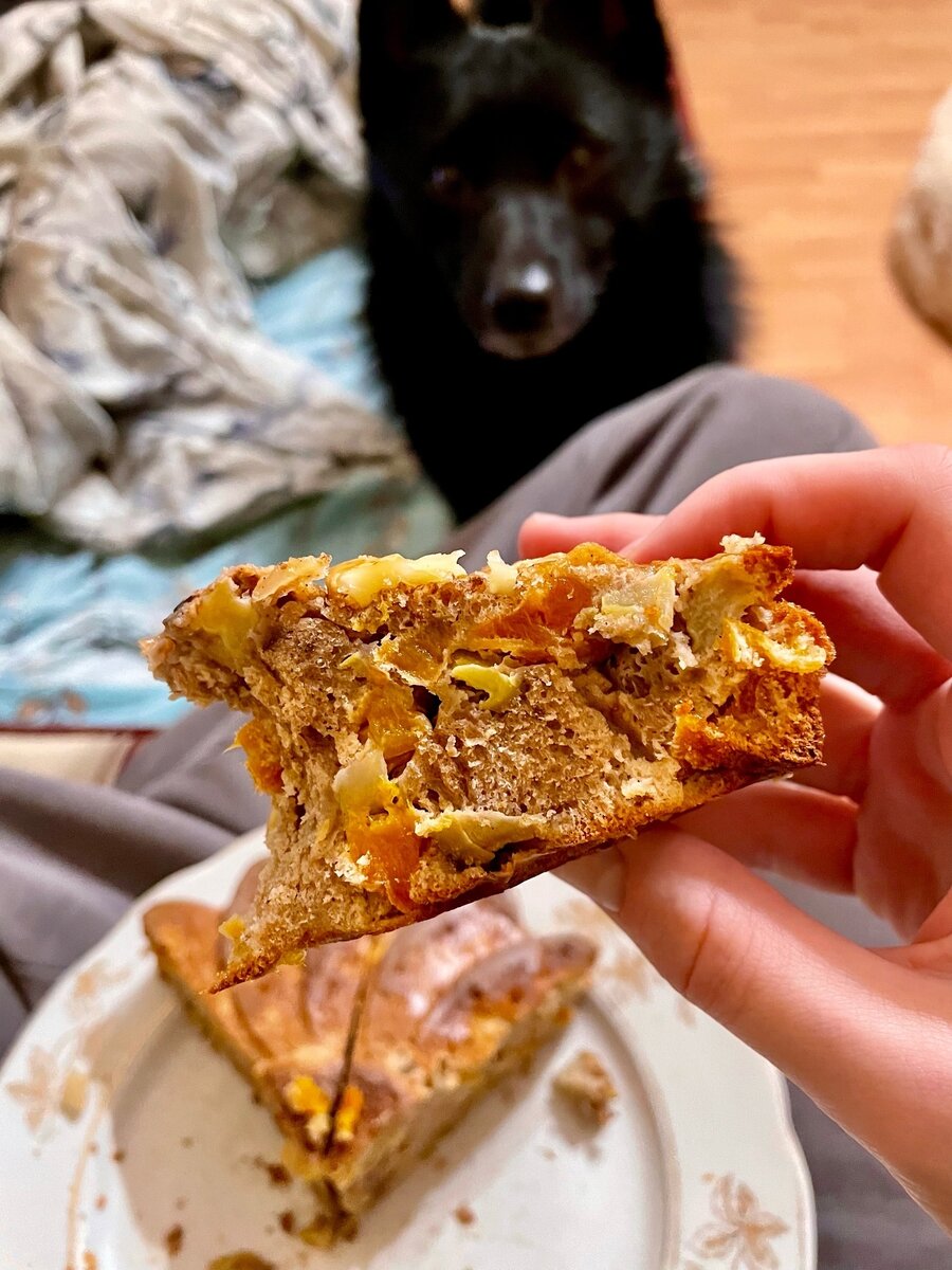 А вот так выглядит все тот же зимний йольский пирог, но с добавлением кураги вместо чернослива. Результат, естественно, получается с приятной кислинкой, не такой сладкий, что вполне понравится некоторым люби