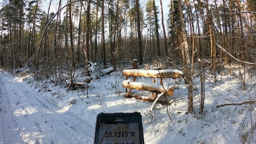    Лавочки-навигаторы в Подмосковье ©Пресс-служба Комитета лесного хозяйства Московской области